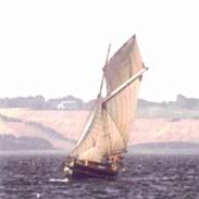 Spidsgatter Damkutter