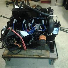 Reinell V170