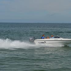 Fletcher Bravo 147 Arrowflash   -SOLGT-