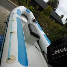 Quicksilver 450r