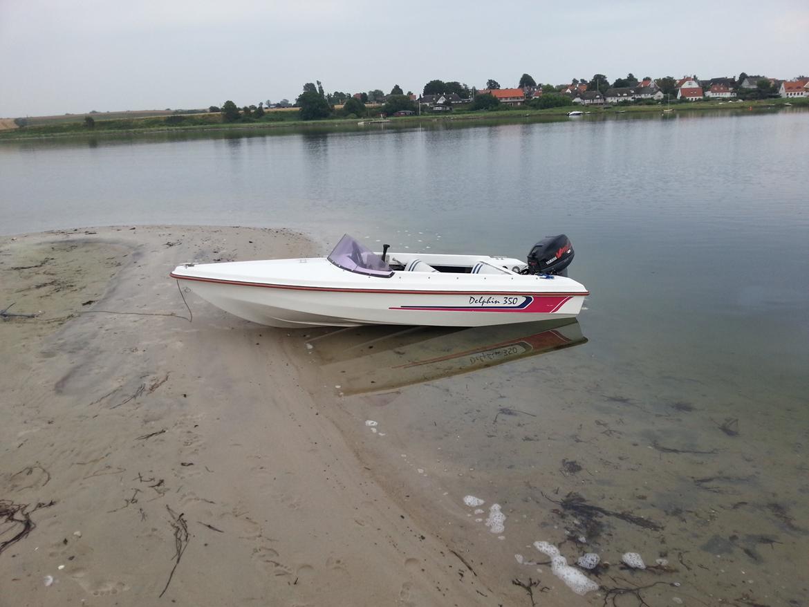 Hille Delphin 350 billede 1
