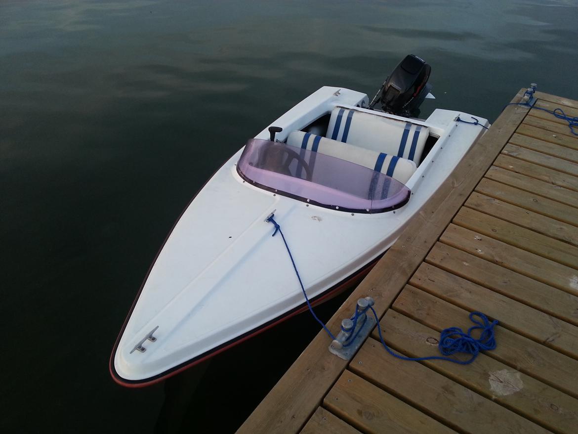 Hille Delphin 350 billede 2