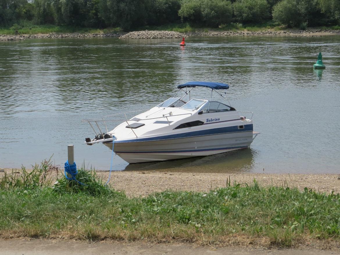 Bayliner 2155  ciera sunbridge - Hov Købte en mere i Tyskland billede 6