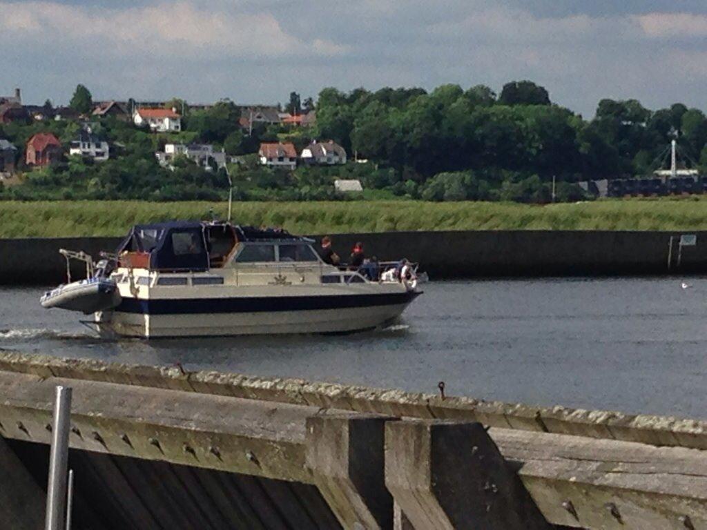 Wiking 28 billede 8