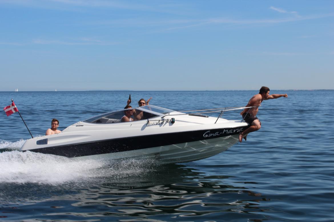 Bayliner 2052 Capri billede 1