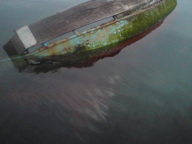 X kutter billede 16