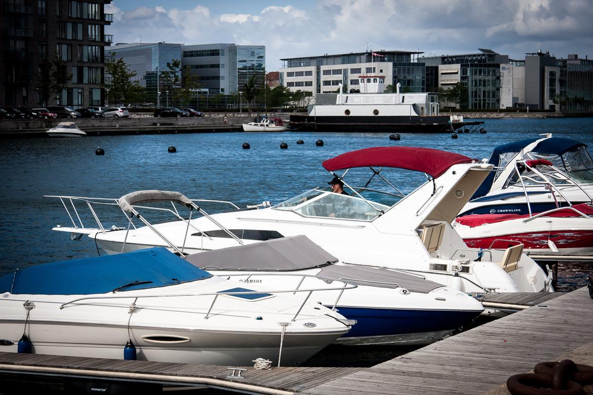 Bayliner 2755 Ciera Sunbridge billede 5