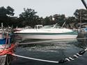 Campion 705 i allante(Solgt)