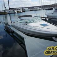 Sea Ray 200 OV 