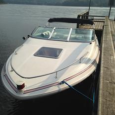 Sea Ray 200 OV 