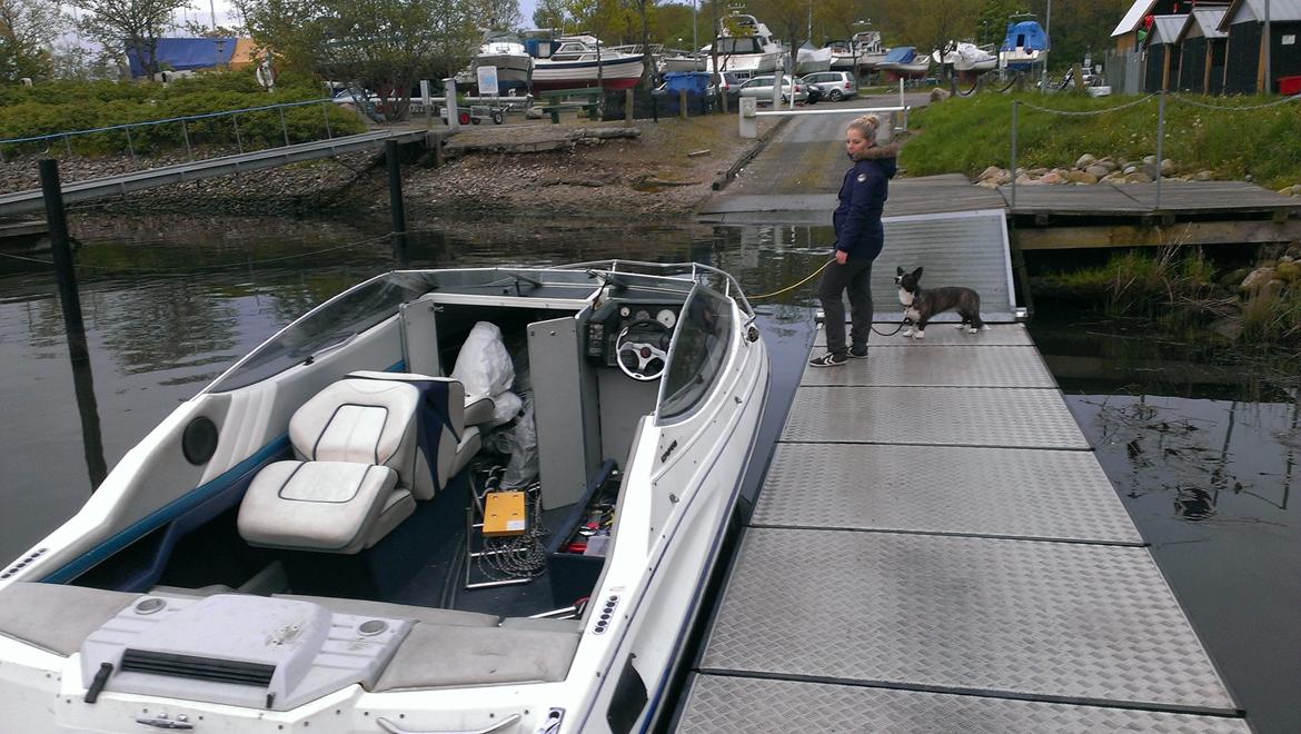 Bayliner Capri 2050 billede 8