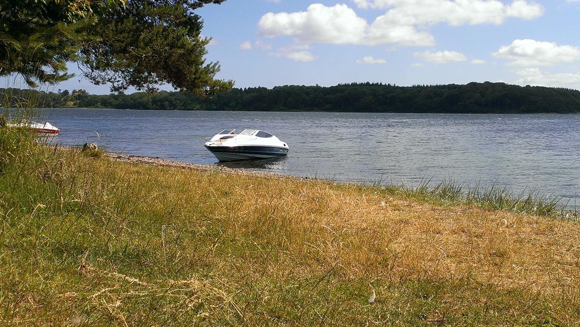 Bayliner Capri 2050 billede 15