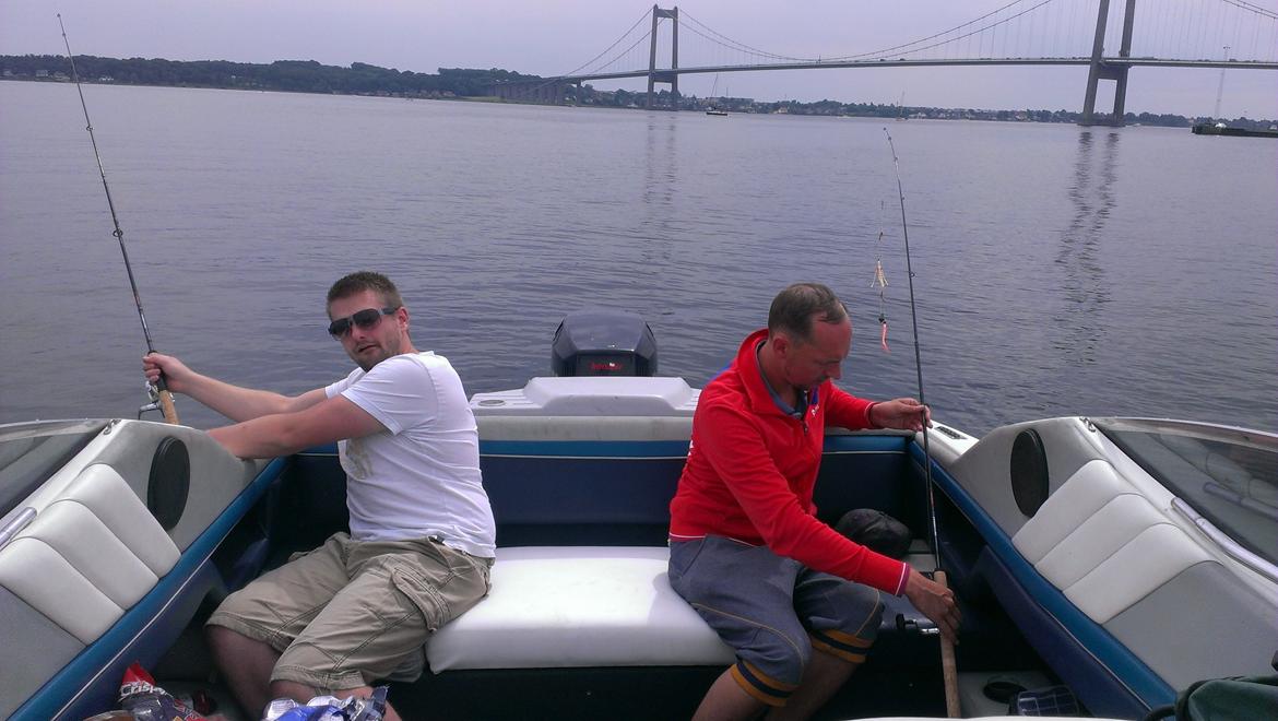 Bayliner Capri 2050 billede 16