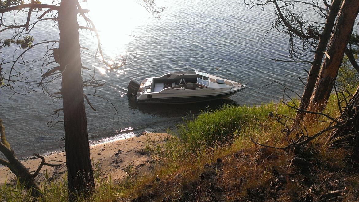 Bayliner Capri 2050 billede 18