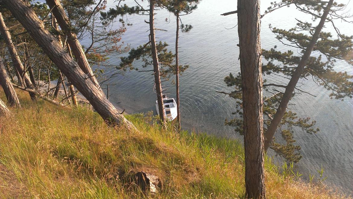 Bayliner Capri 2050 billede 20