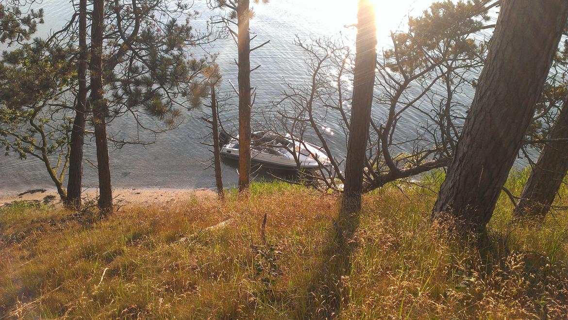 Bayliner Capri 2050 billede 19