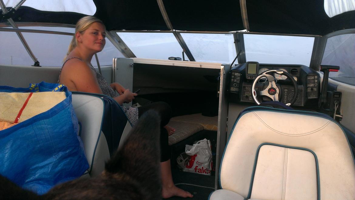 Bayliner Capri 2050 billede 22