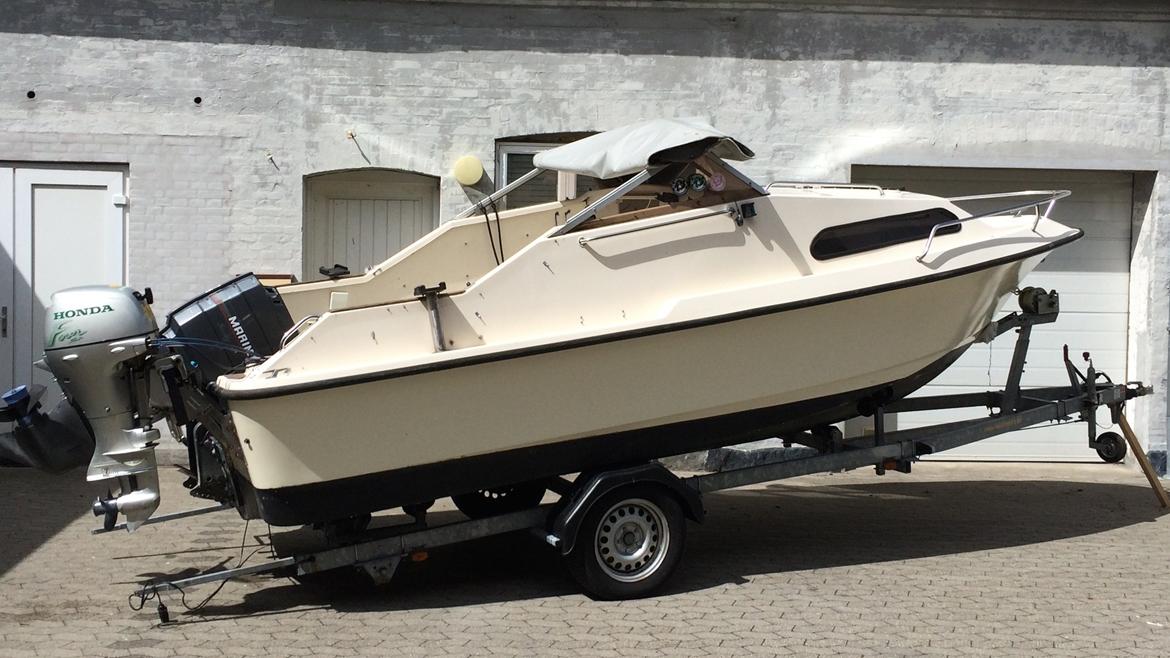 Shetland 570 - Hjemme i solen :) billede 1