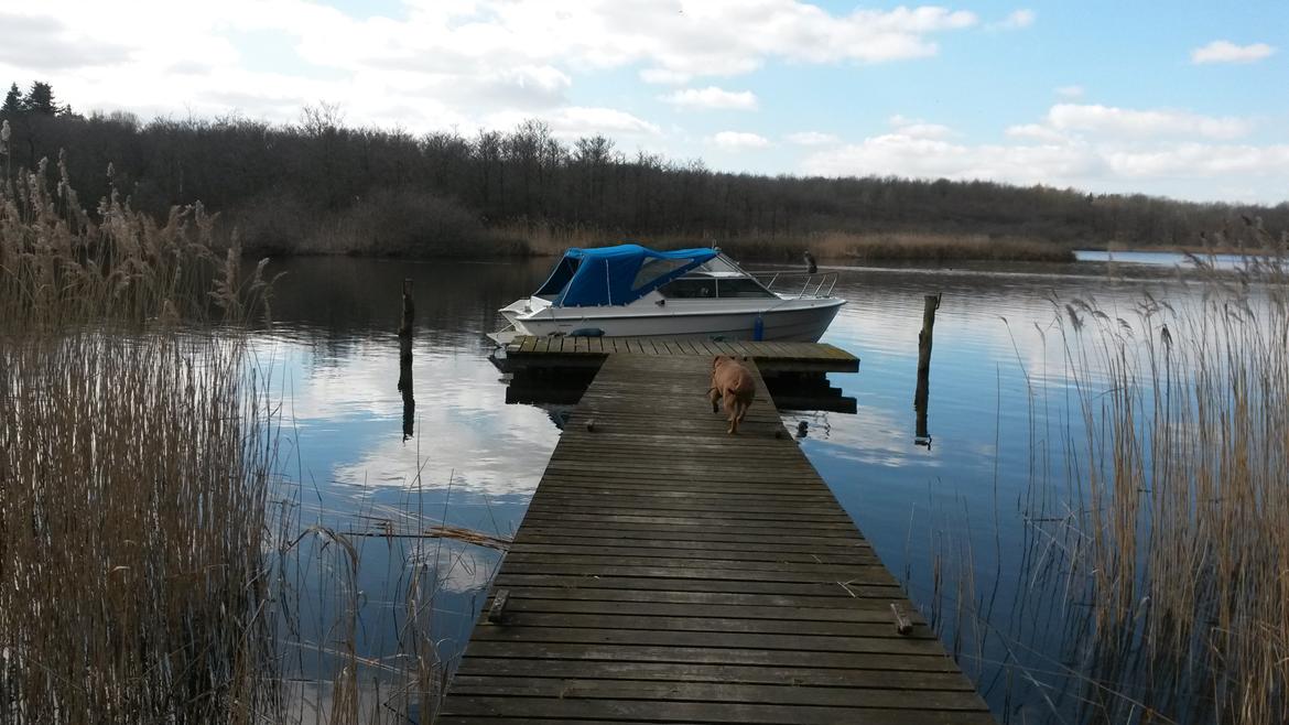 Draco With 2000 DC billede 6