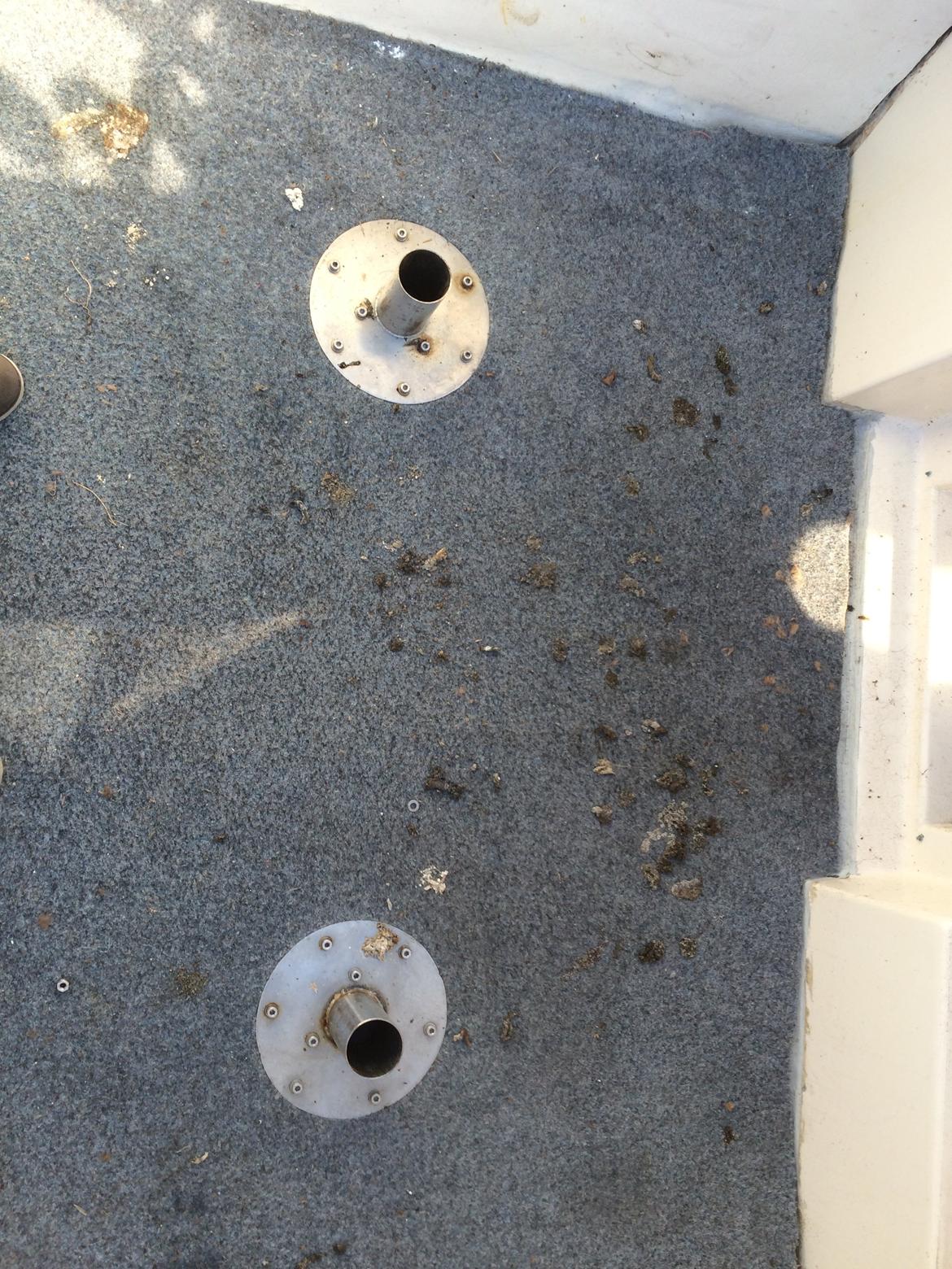 Shetland 570 billede 10