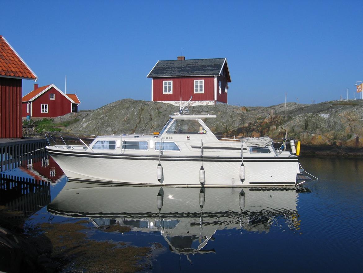 Apollo Apollo 32 TT de Luxe billede 3