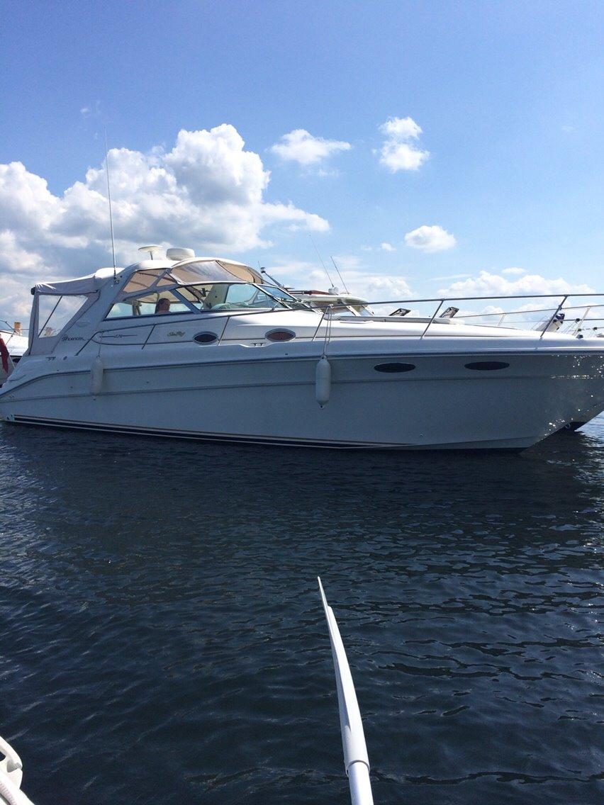 Sea Ray 330 sundancer billede 2