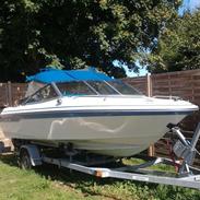 Sea Ray 160