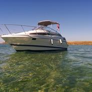 Bayliner Bayliner 2355 Ciera Sunbridge