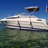 Bayliner Bayliner 2355 Ciera Sunbridge