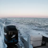 Bayliner Capri1702