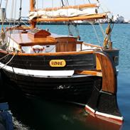 Spidsgatter Damkutter