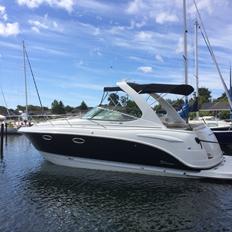 Chaparral 310 Signature