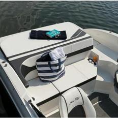 Sea Ray 19 SPXE