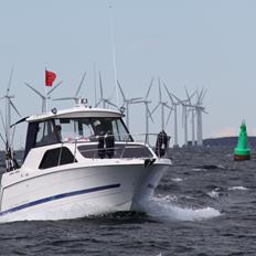 Bayliner 242 EC SOLGT