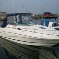 Rinker Fiesta  Vee 242