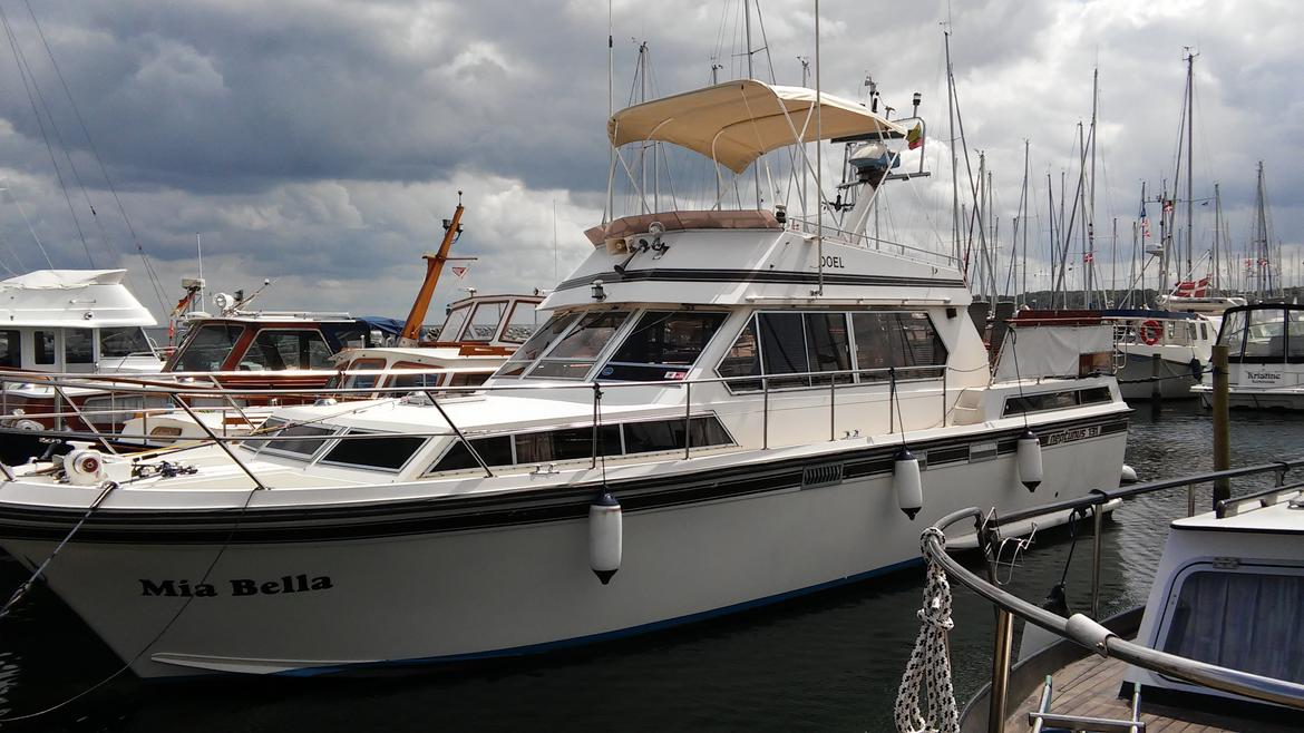 Neptunus 131 billede 2
