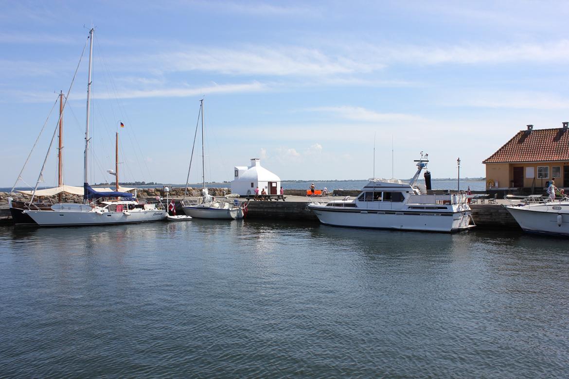 Neptunus 131 billede 11