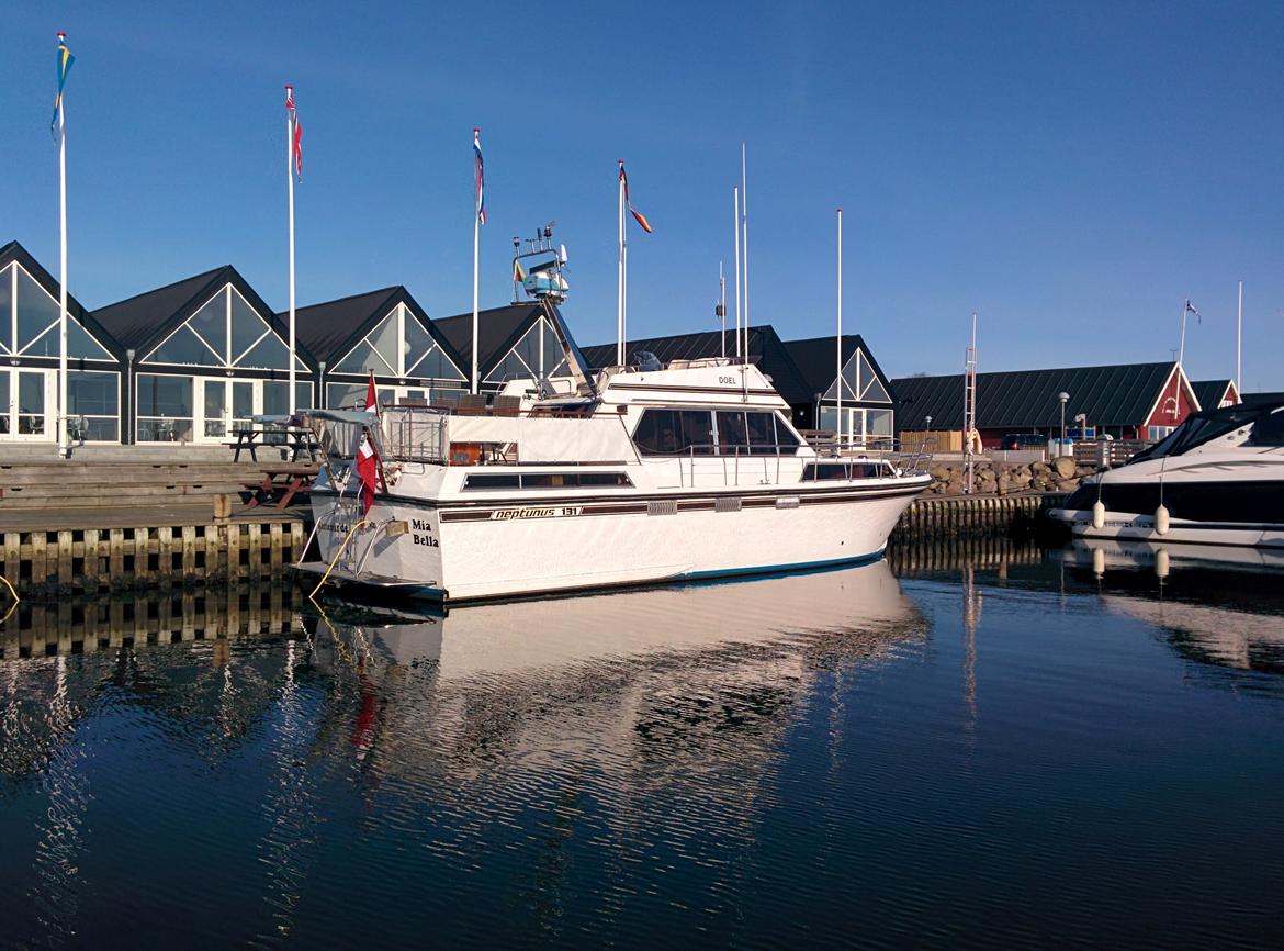 Neptunus 131 billede 12