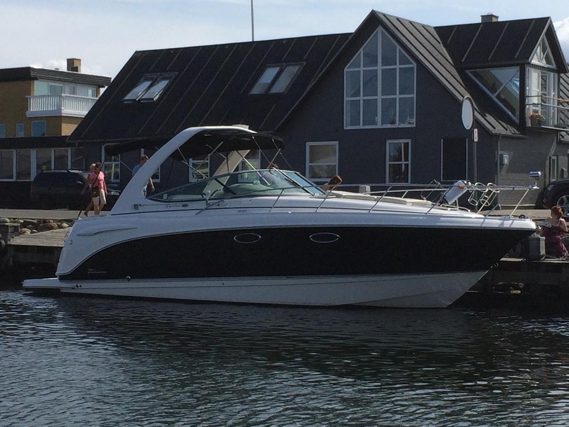 Chaparral 310 Signature billede 1