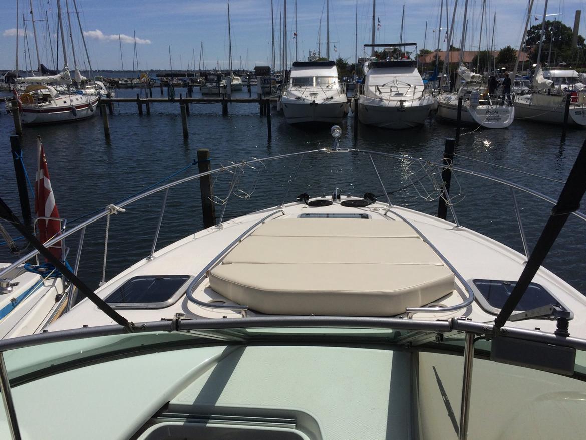 Chaparral 310 Signature billede 10
