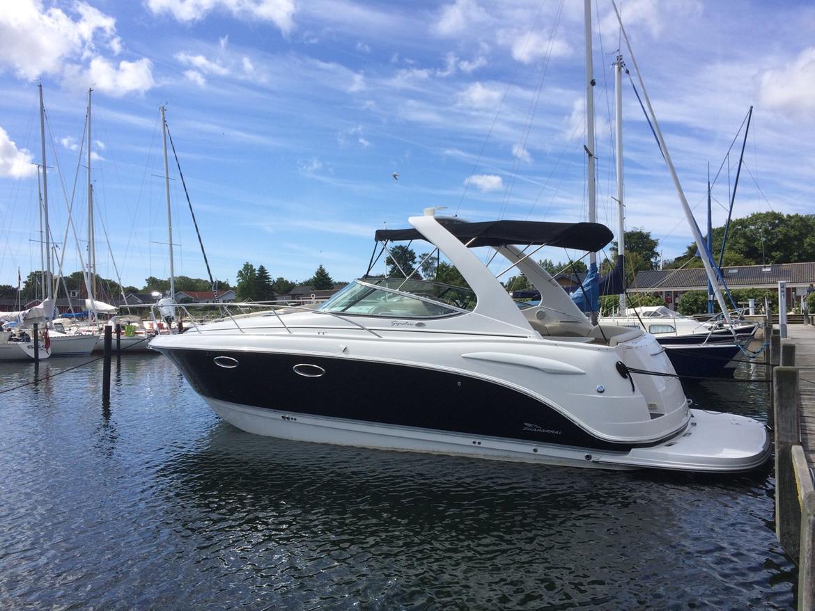 Chaparral 310 Signature billede 2