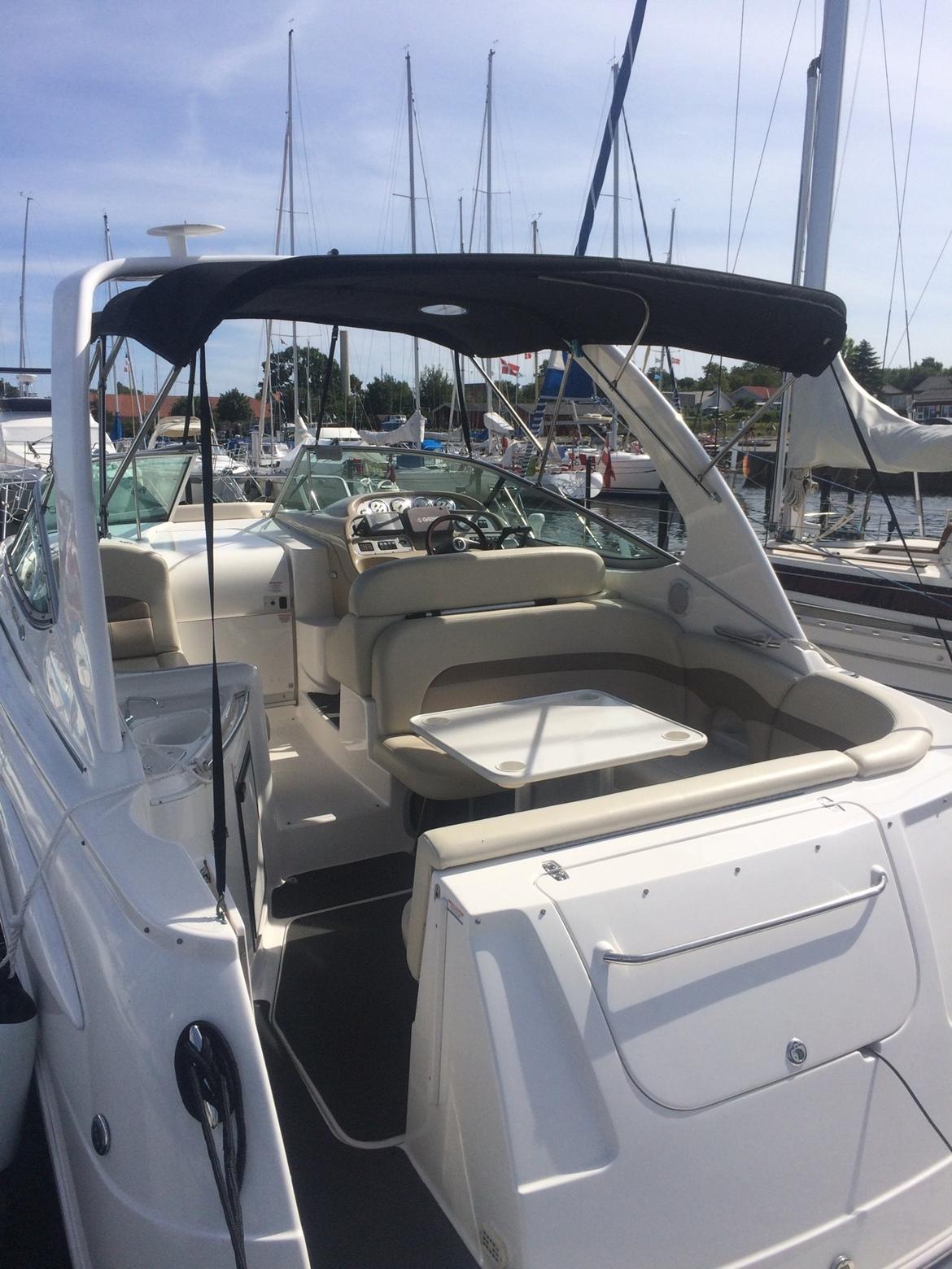 Chaparral 310 Signature billede 18