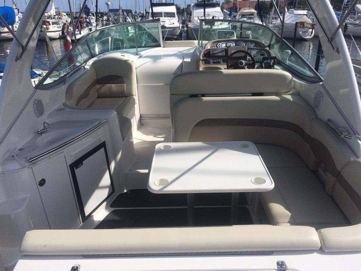 Chaparral 310 Signature billede 16