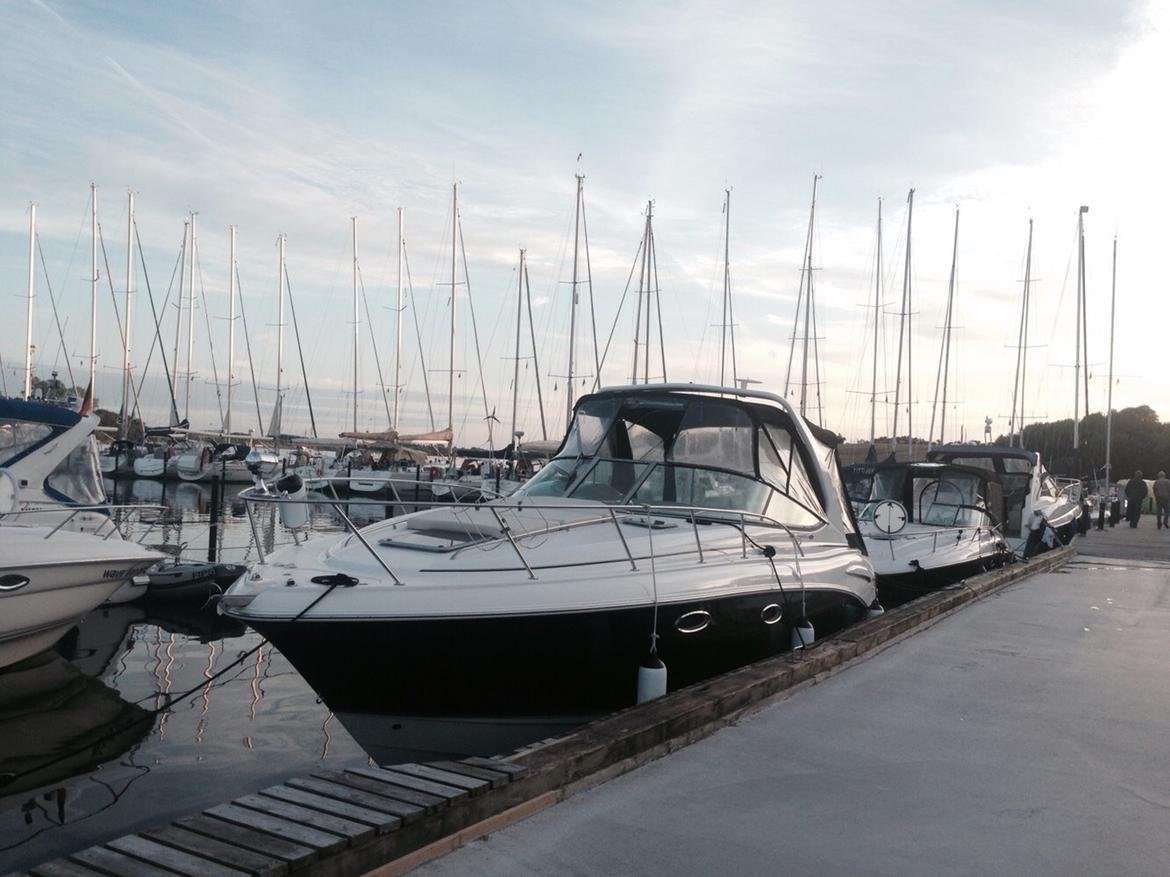 Chaparral 310 Signature billede 13