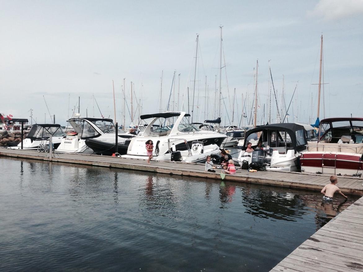 Chaparral 310 Signature billede 12