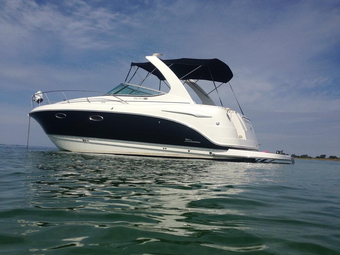 Chaparral 310 Signature billede 20