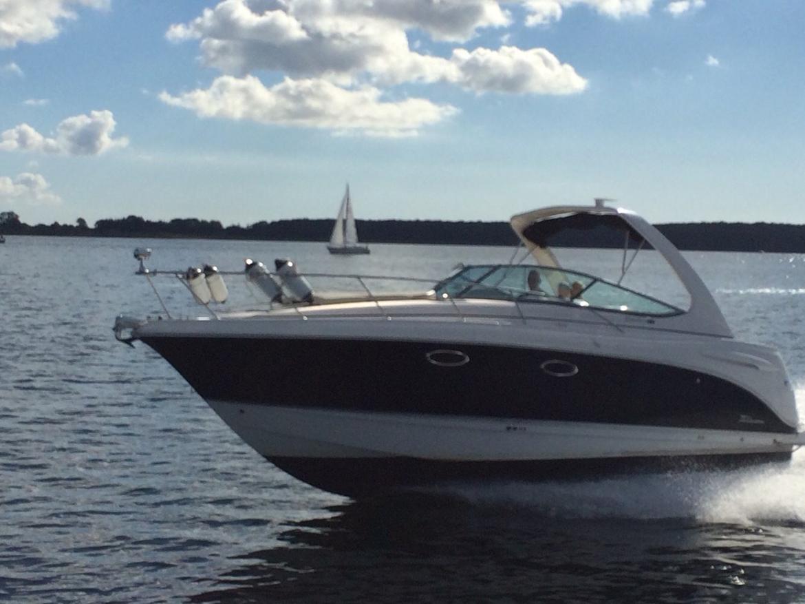 Chaparral 310 Signature billede 21