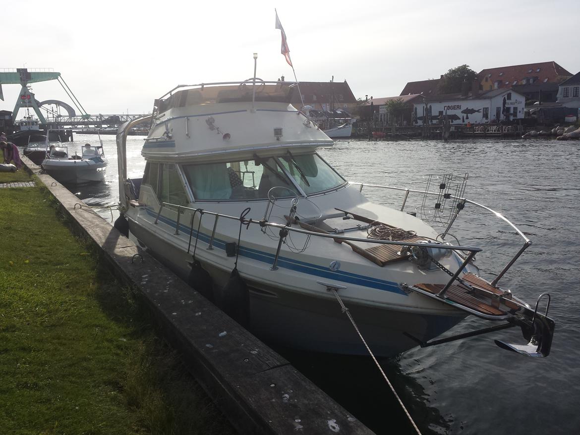 Sea Ray 245 Flybrige billede 4