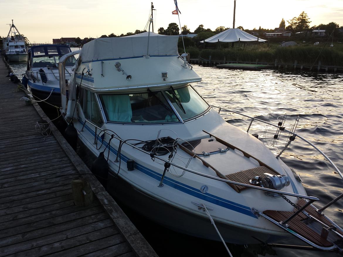 Sea Ray 245 Flybrige billede 5