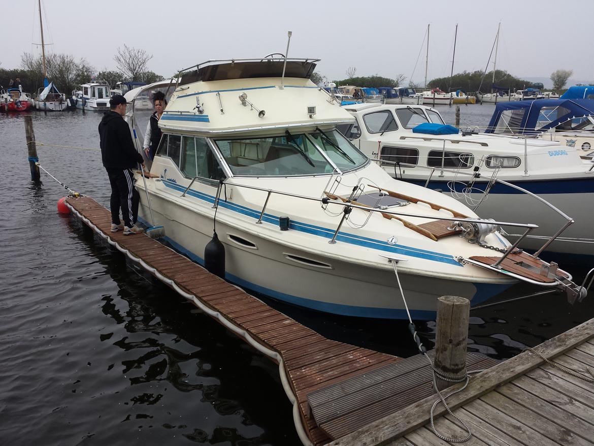 Sea Ray 245 Flybrige billede 1